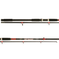 Beachcaster 12ft (3.60mtr) - 2 Sections