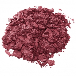 EYE SHADOW COMPACT - TWIG