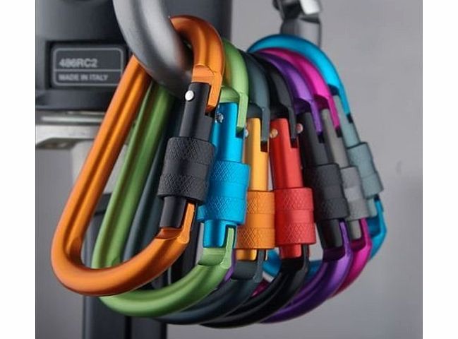 StillCool 2 pcs Aluminum Carabiner D-Ring Key Chain Clip Hook