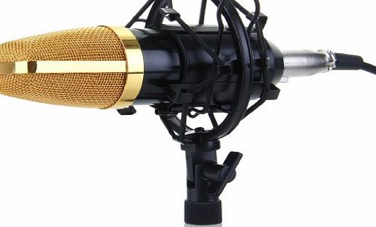Storm Store Pro Condenser Microphone BM700 Sound Studio Recording Dynamic w/ Shock Mount Black