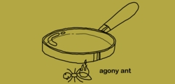 Agony ant