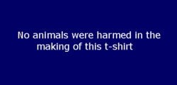 Street Shirts Animals