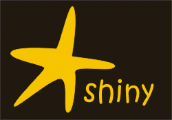 Street Shirts Shiny Star