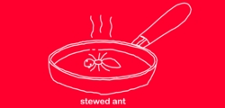 Stewed ant