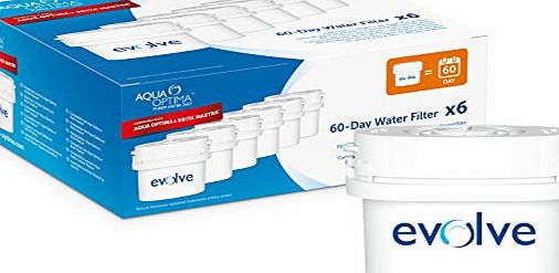Aqua Optima EVD602 Evolve 60-day Water Filter, also fits Brita* Maxtra*,6 pack - 1 years supply