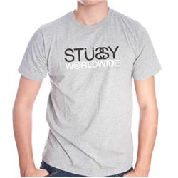 STUSSY Worldwide 80 Authentic T-Shirt - Grey