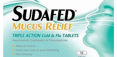 Mucus Relief Triple Action Cold & Flu