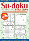 Sudoku Selection Annual Credit/Debit Card - Save