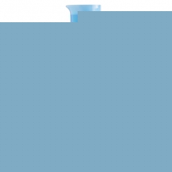 Sue Devitt PURIFYING CLEANSER