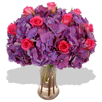 SUGAR Plum - flowers