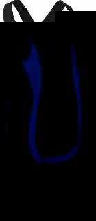 Sugoi Cannondale Pro Cycling Standard Bib Short