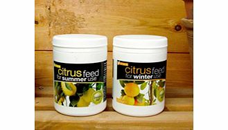 Summer and Winter Citrus Feed