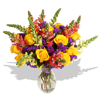 summer Beauty - flowers