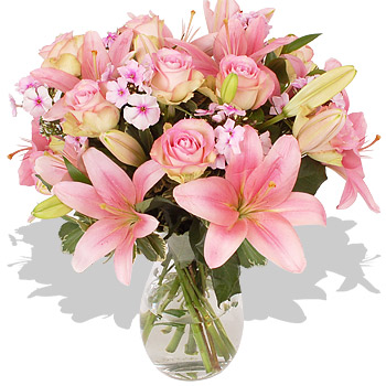 Summer Blush - flowers