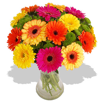 Summer Brights - flowers