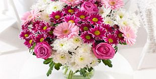 Summer Dream Supersize