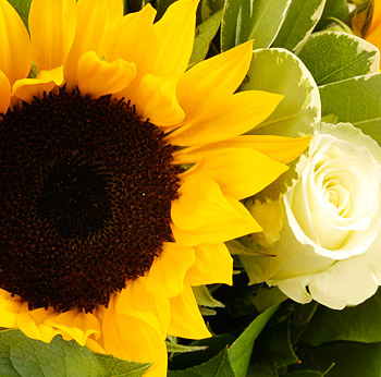 Summer Lovin - flowers