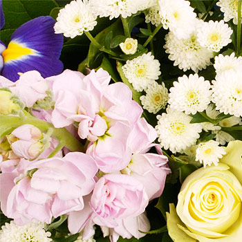 summer Meadow - flowers