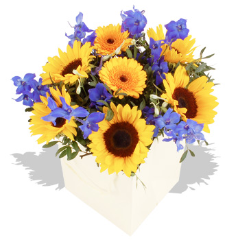 Summer Sunflower Gift Bag - flowers