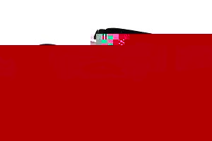 Sun Mountain Sun Bag 2008