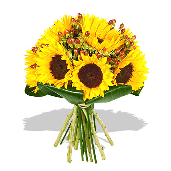 Sunflowers   Vase - flowers