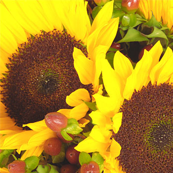 Sunflowers Bouquet - flowers