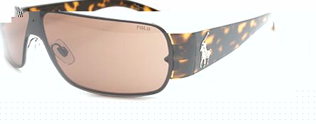 Sunglasses  Polo 3037 Tortoise Sunglasses