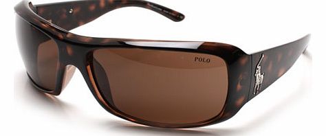 Sunglasses  Polo 4039 Tortoise Sunglasses