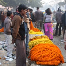 Sunrise Delhi - Adult