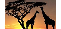 Sunset Safari - Kruger National Park - Single