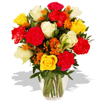 Sunshine Fields - flowers