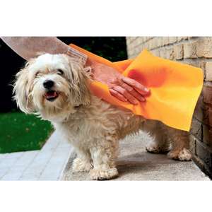 Absorbent Cloth For Pets