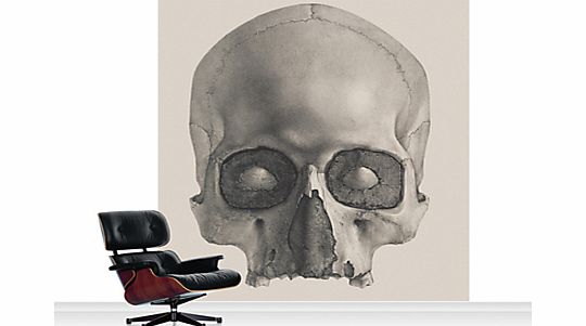 Surface View Engraving of a Human Skull Mural