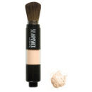 Susan Posnick COLORFLO - SHIMMER