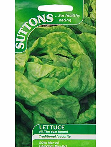 Suttons Seeds 167975 Lettuce All Year Round Seed