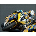 Suzuki GSX-R1000 Fabien Foret 2006