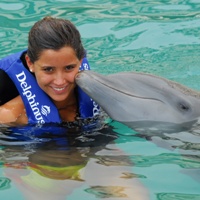Swim With Dolphins In Isla Mujeres   Reef Snorke l