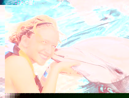 Swim with Dolphins Isla Mujeres - Adventure Swim