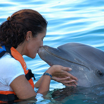 With The Dolphins At Isla Mujeres -