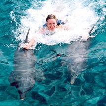 With The Dolphins In The Mayan Riviera -