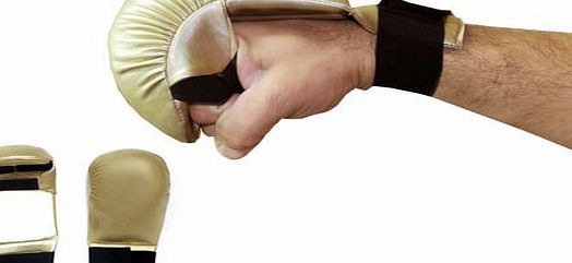 SystemsEleven Golden Judo Karate Punch Mitts Gloves Sparring Competition Training Martial Arts (Small)