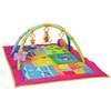 Smart 2 in 1 Gym - playmat