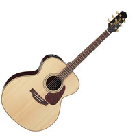 Pro Series P5J Jumbo Electro Acoustic