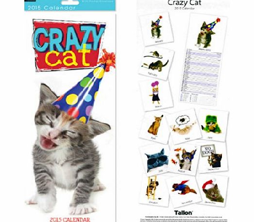 Tallon 2015 Crazy Cat Super Slim Month Per Page Wall Calendar - 12 Images 0507
