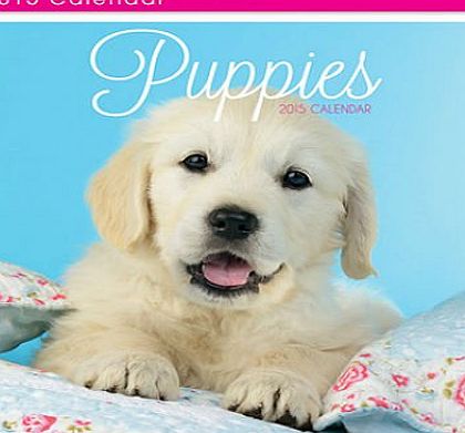 Tallon 2015 Cute Puppies Square To Rectangle Month Per Page Wall Calendar - 12 Images