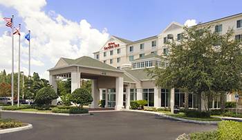 TAMPA Hilton Garden Inn Tampa North Busch Gardens