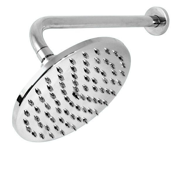 Tampico Brass Shower Head (8 inch) with 13 inch