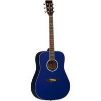 Evolution TW28-CLB Acoustic Guitar