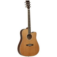 Tanglewood Evolution TW28-CSN Dreadnought