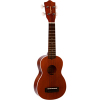 Tanglewood TU 4221